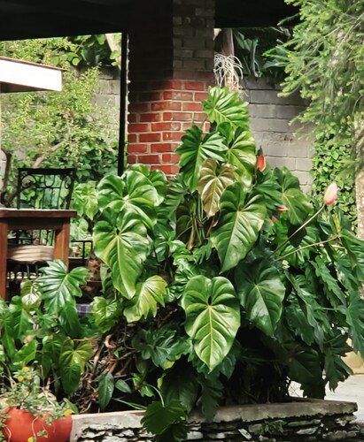 Kundayo Serviced Apartments Lodge