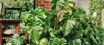 Kundayo Serviced Apartments Lodge