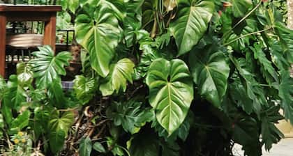 Kundayo Serviced Apartments Lodge