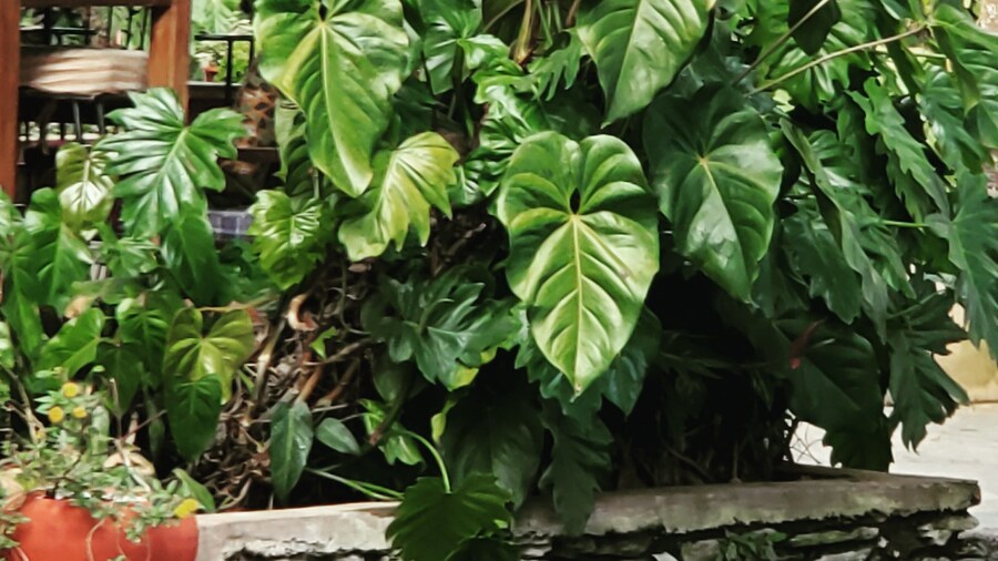 Kundayo Serviced Apartments Lodge