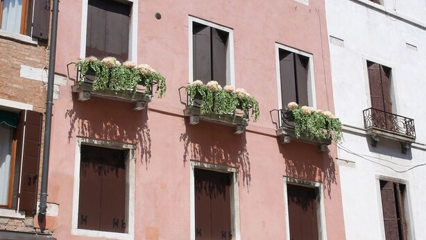 A building with three windows, each with a brown shutter and a flower box with greenery and white flowers. - Casa delle Ortensie (Venice)