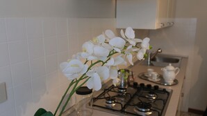 A kitchen with white tiles, a gas stove, a kettle, and a small plant with white flowers. - Casa delle Ortensie (Venice)