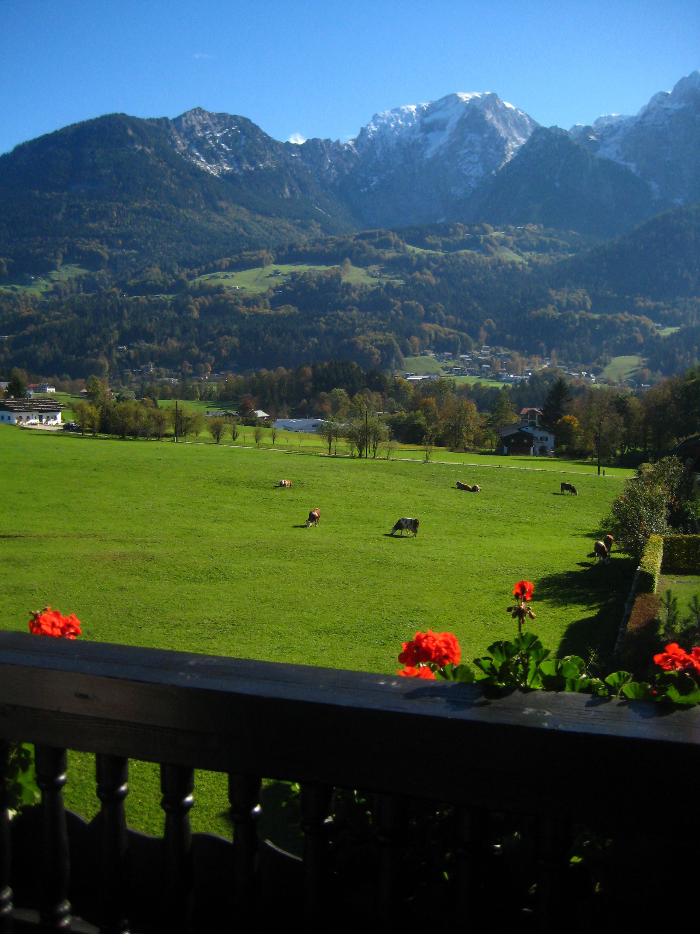 Vue depuis l’hébergement