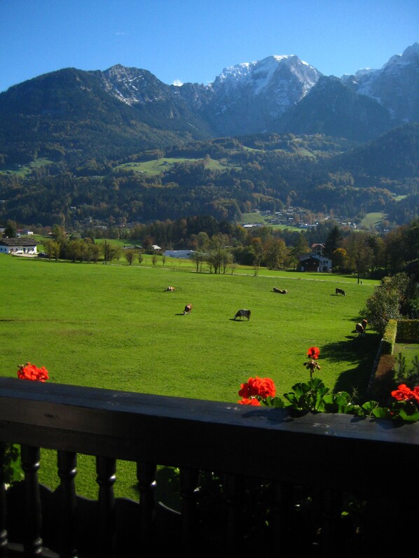 Vue depuis l’hébergement