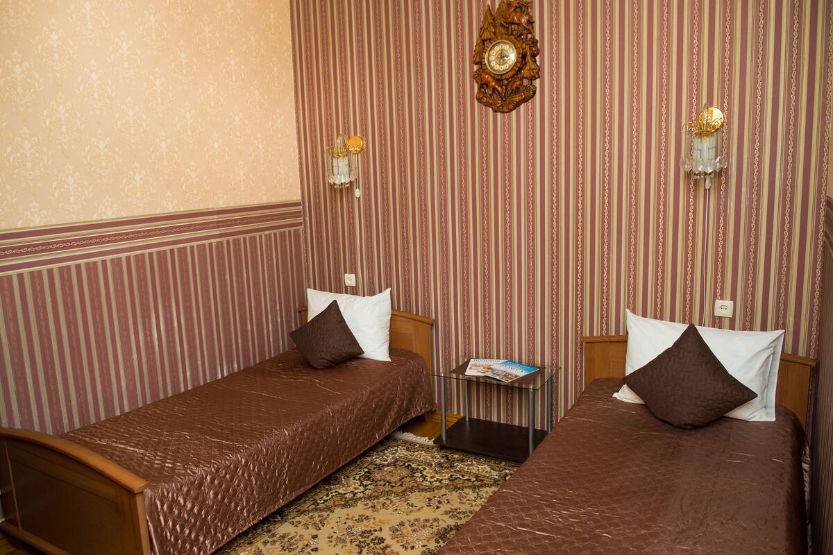 Standard Twin Room, Ground Floor | 1 bedroom, minibar, desk, WiFi (free)