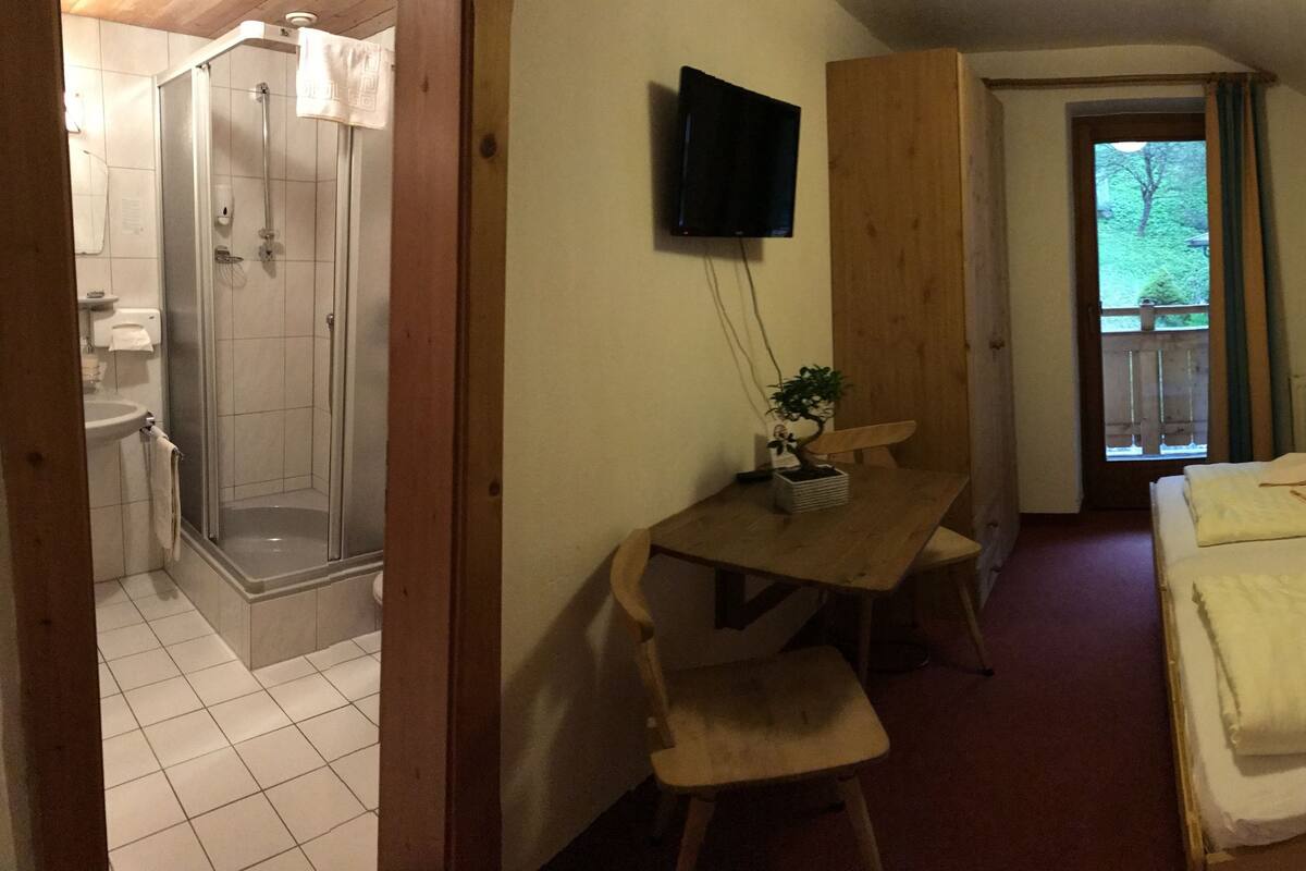 A bedroom with a bed, bedside table, and a wooden headboard. There is a shower area with a glass door and a small table with a plant. A television is mounted on the wall.