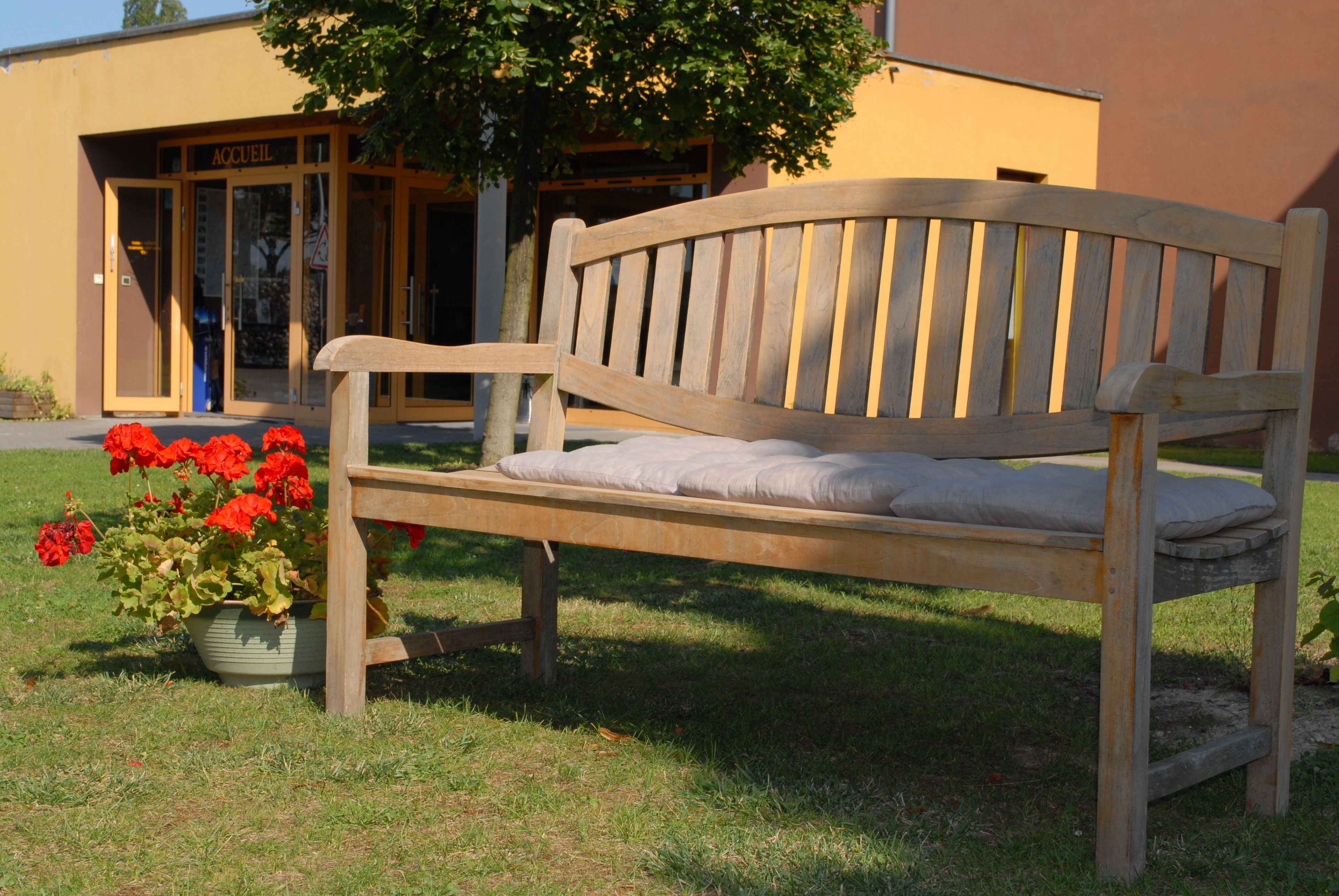 A wooden bench with a cushion, a potted plant with red flowers, and a building with a sign that reads "ACCEIL".
