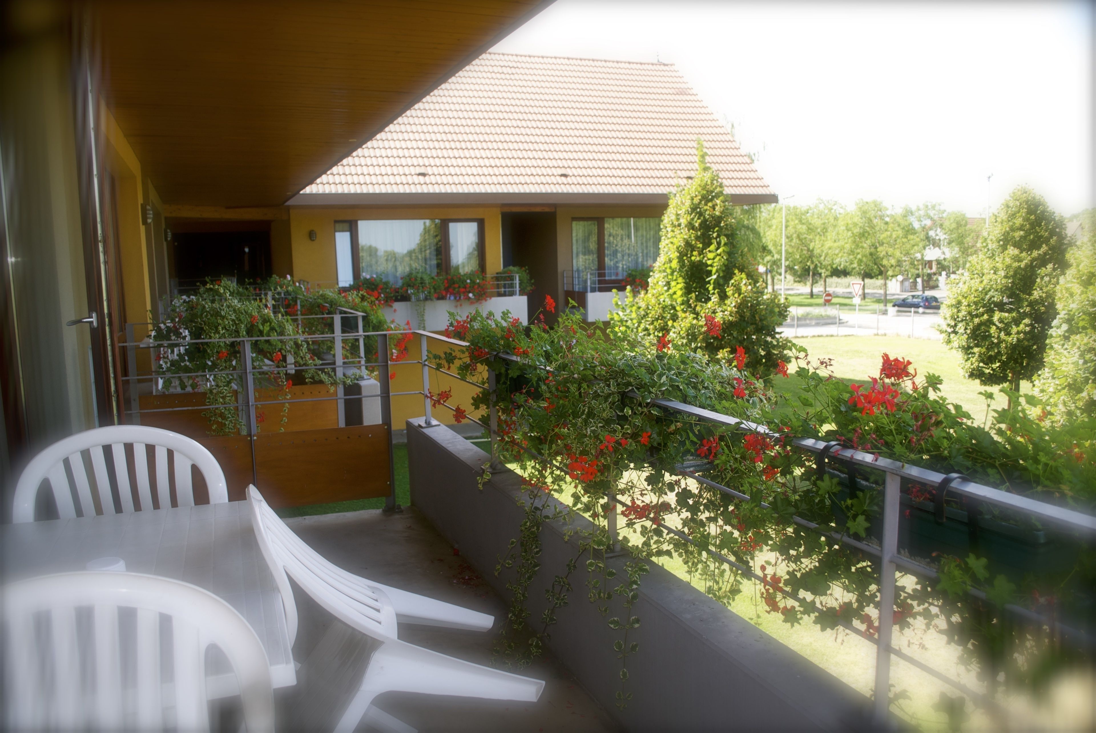 A balcony with white plastic chairs, a railing, and red flowers.