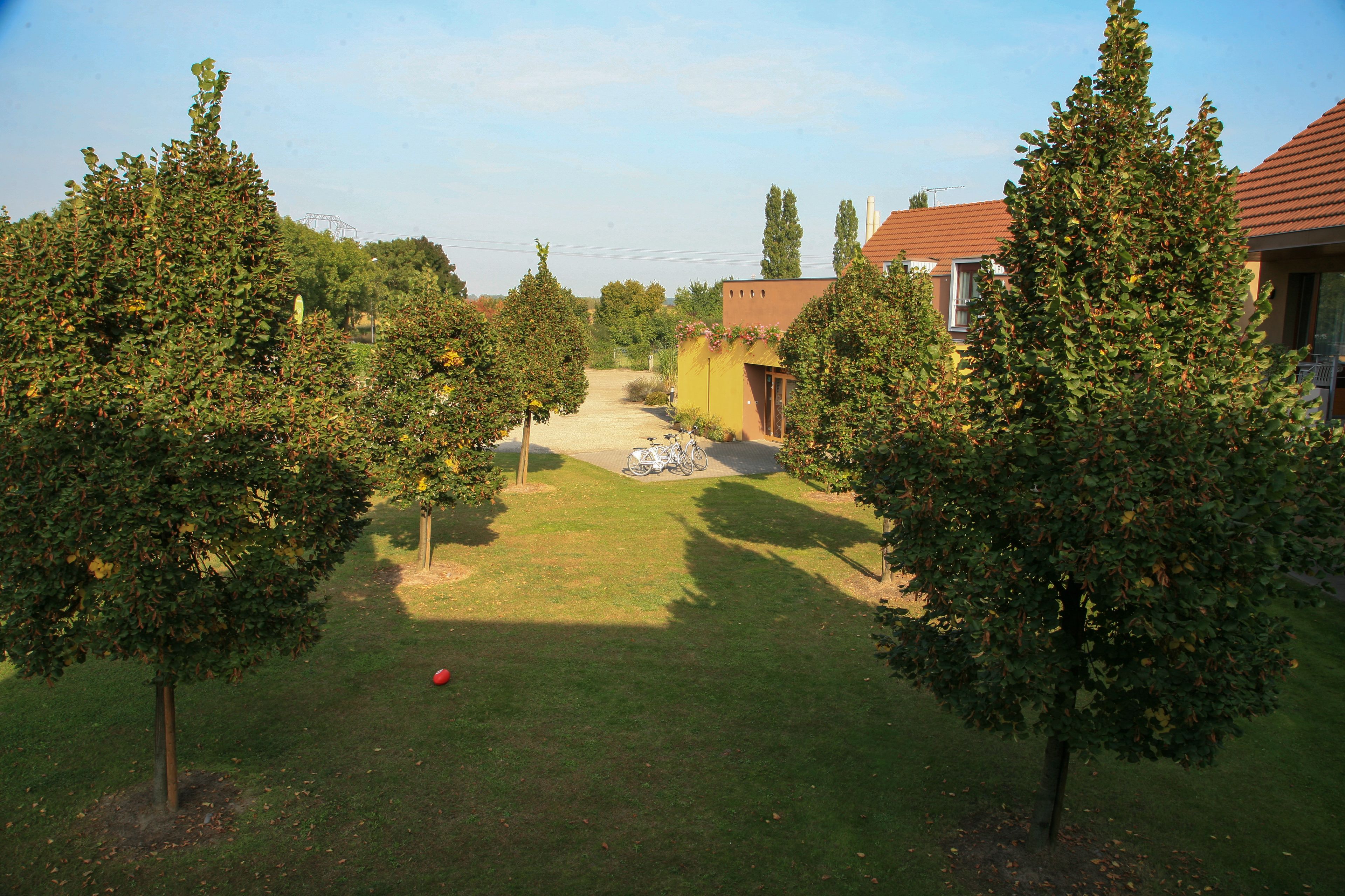 Tuin