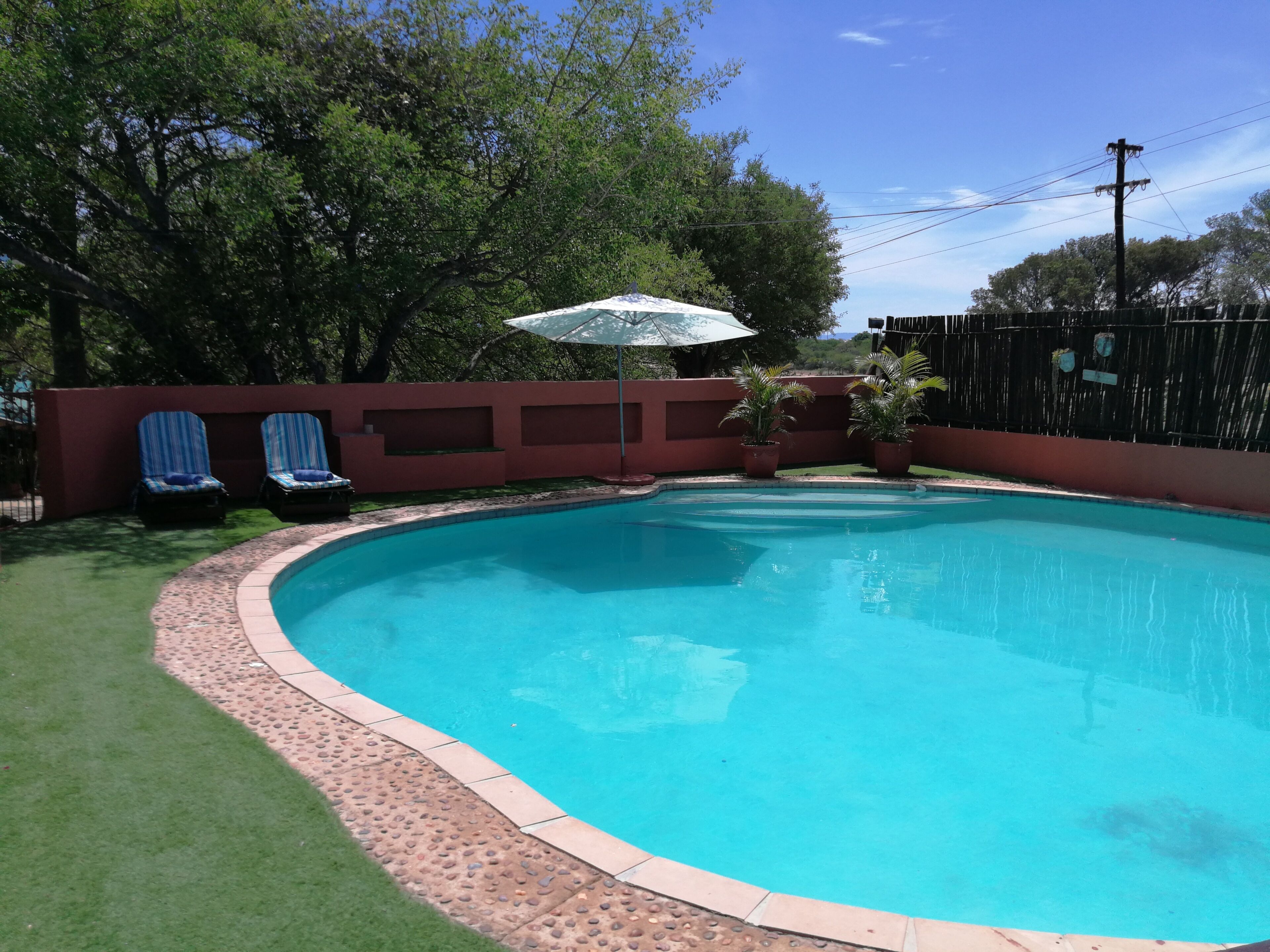 室外游泳池，提供日光浴躺椅