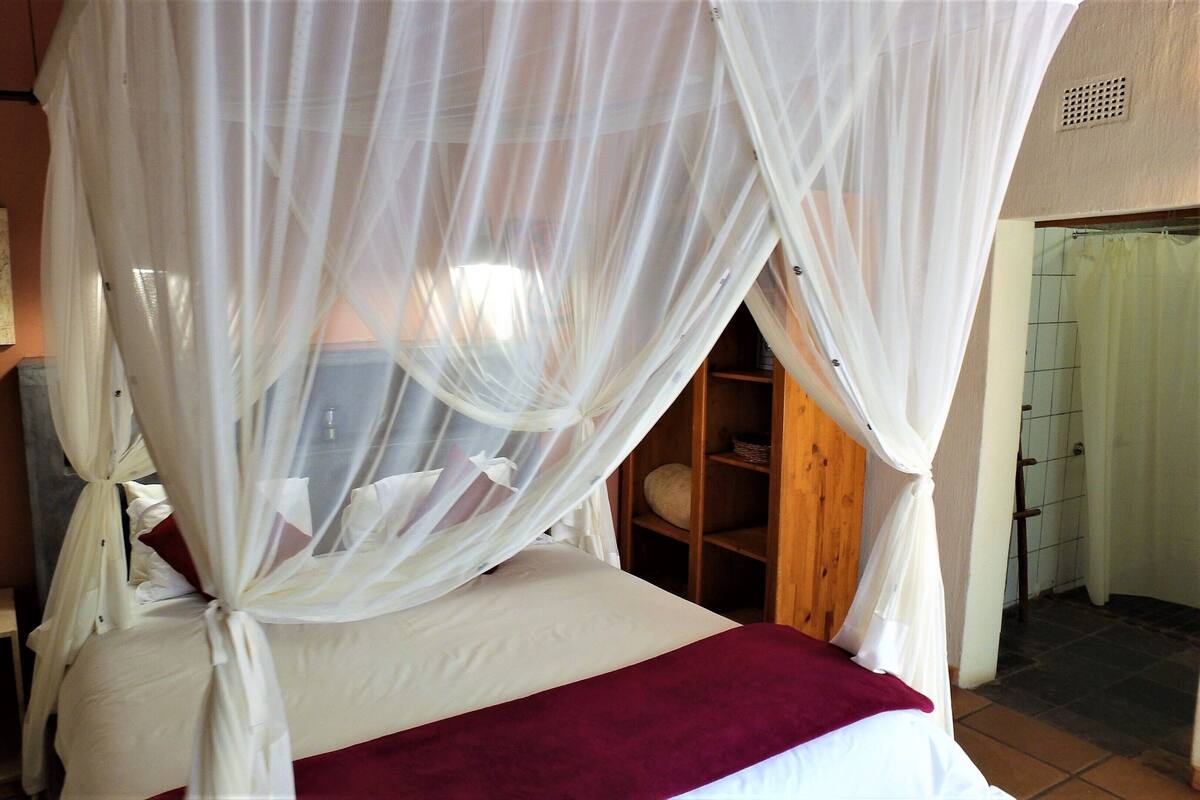 Standard Room, Accessible (No. 1)
