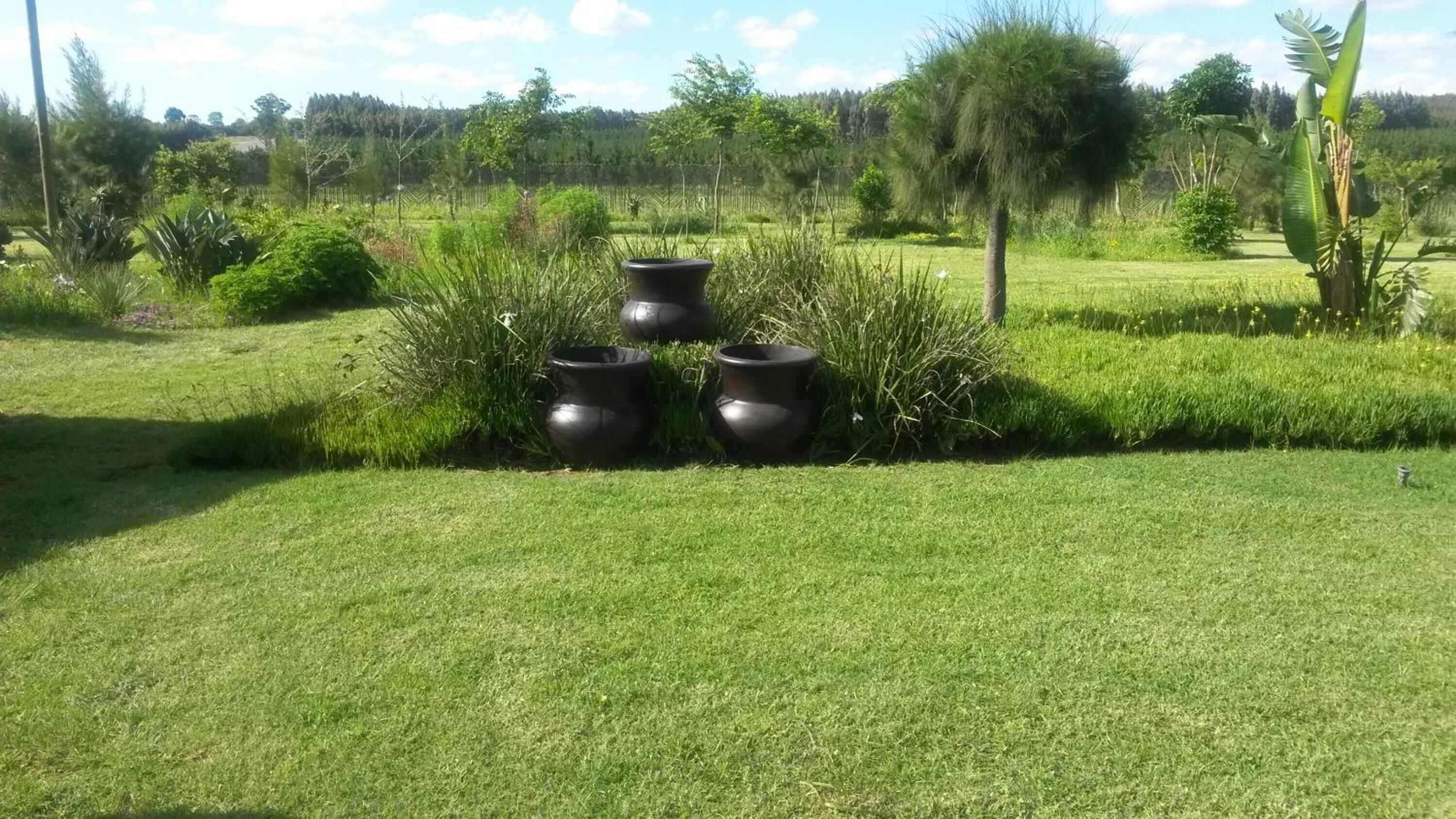 Un champ herbeux avec trois grands pots noirs placés au centre.
