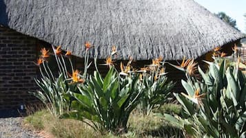 Vườn