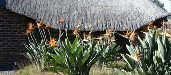 African Flair Country Lodge