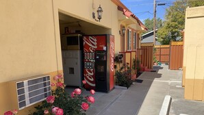 A building with a Coca-Cola vending machine, a door labeled "ICE," and a small garden with pink roses. - Budget Motel (Mountain View)