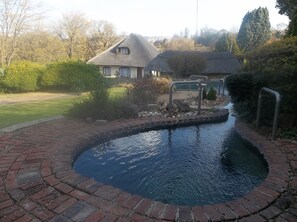 Natural pool