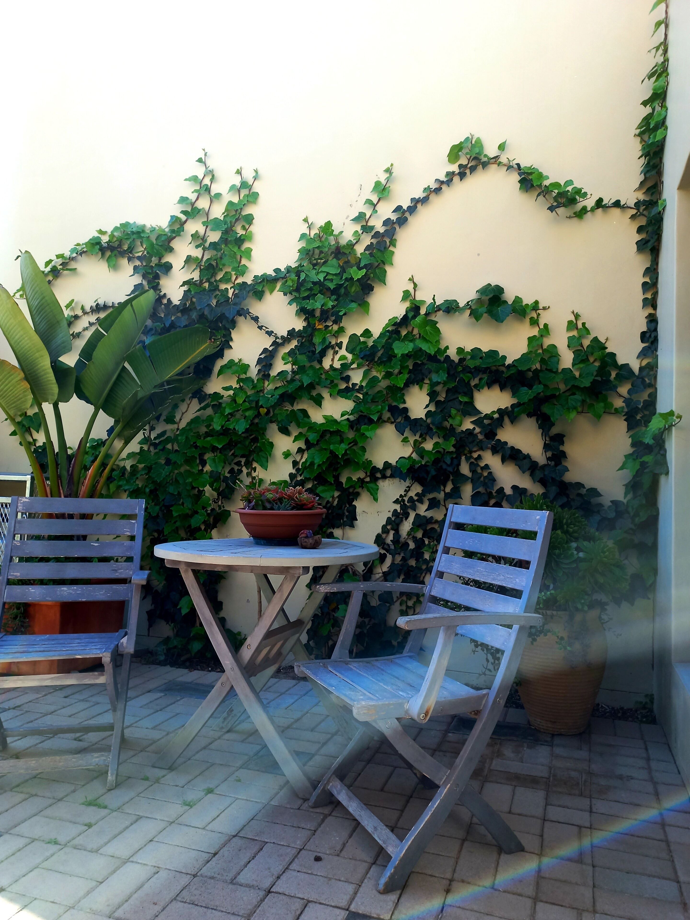 A small outdoor seating area with two metal chairs and a round table, surrounded by potted plants and climbing vines on a wall.