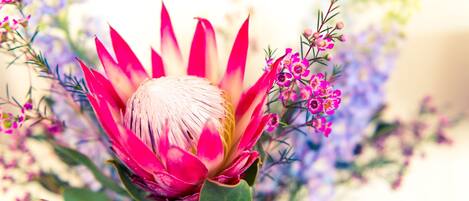 Primer plano de una vibrante flor de Protea rosa, rodeada de follaje y pequeñas flores púrpuras.