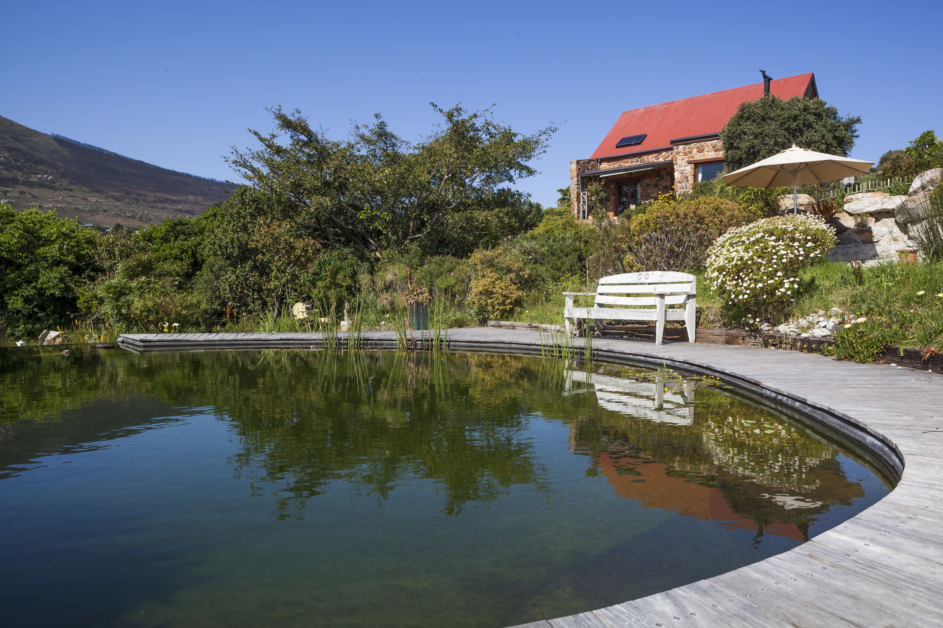 Garden view
