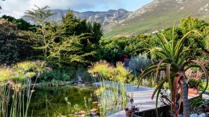 A serene garden with a pond, wooden deck, and lush greenery. - Leopardstone Hill (Cape Town)