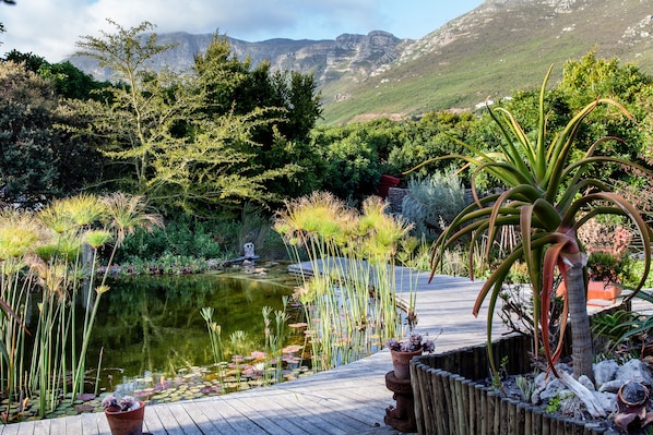 A serene garden with a pond, wooden deck, and lush greenery.