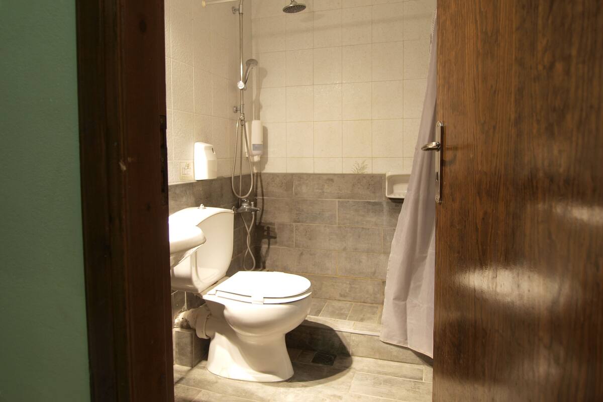A bathroom with a toilet, shower, and a towel rack.