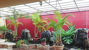 A greenhouse with various potted plants and rock formations.