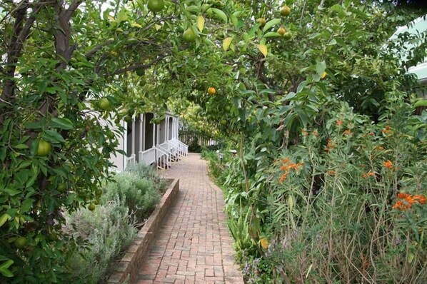 Garden - Housemartin Guest Lodge (De Rust)