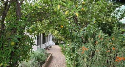 Housemartin Guest Lodge