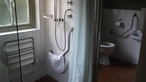 Shower, free toiletries, hair dryer, towels