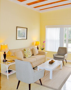 Basic Apartment, 1 King Bed with Sofa bed | Living room | TV