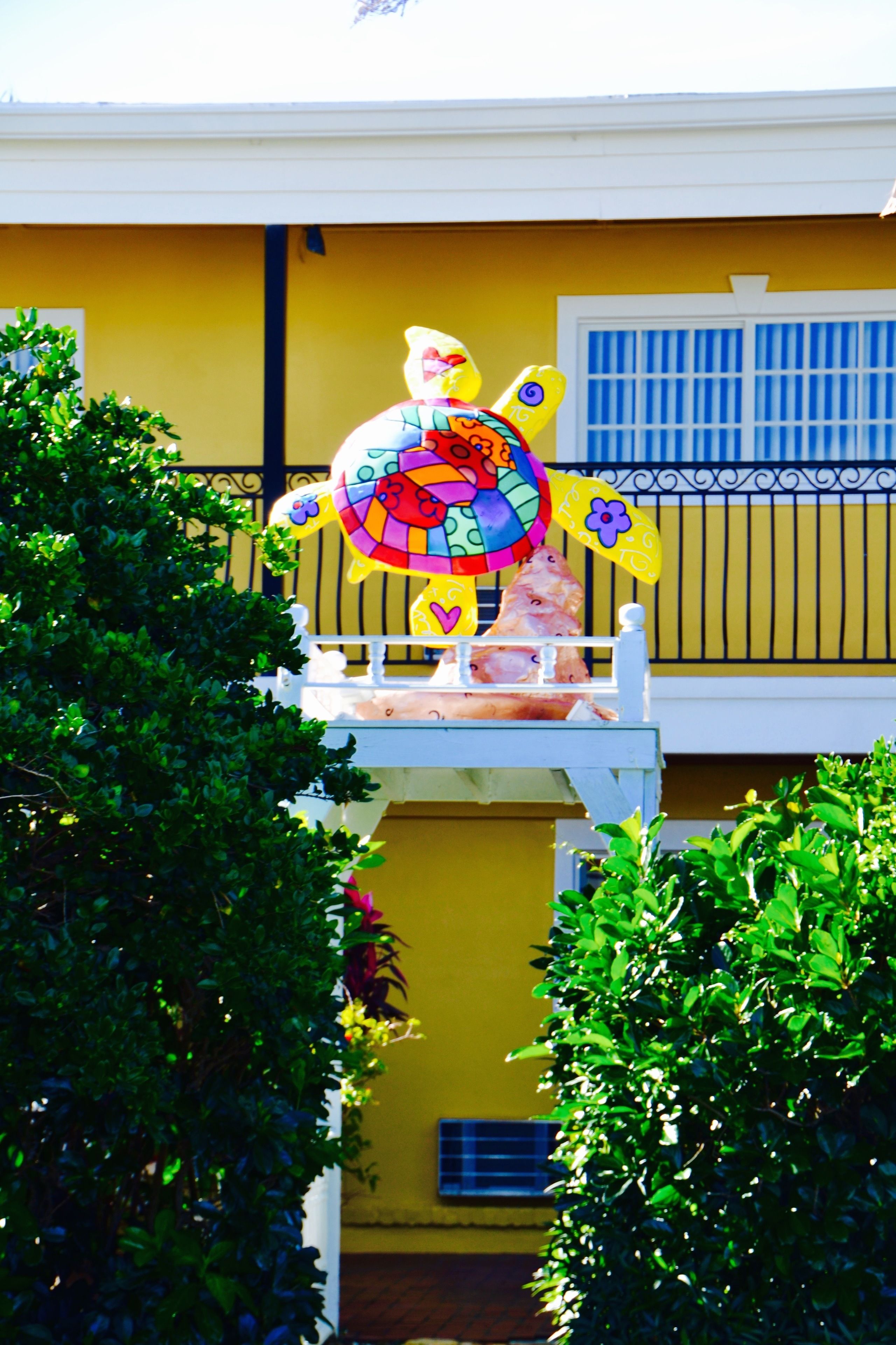 Foto - Sea Turtle Inn