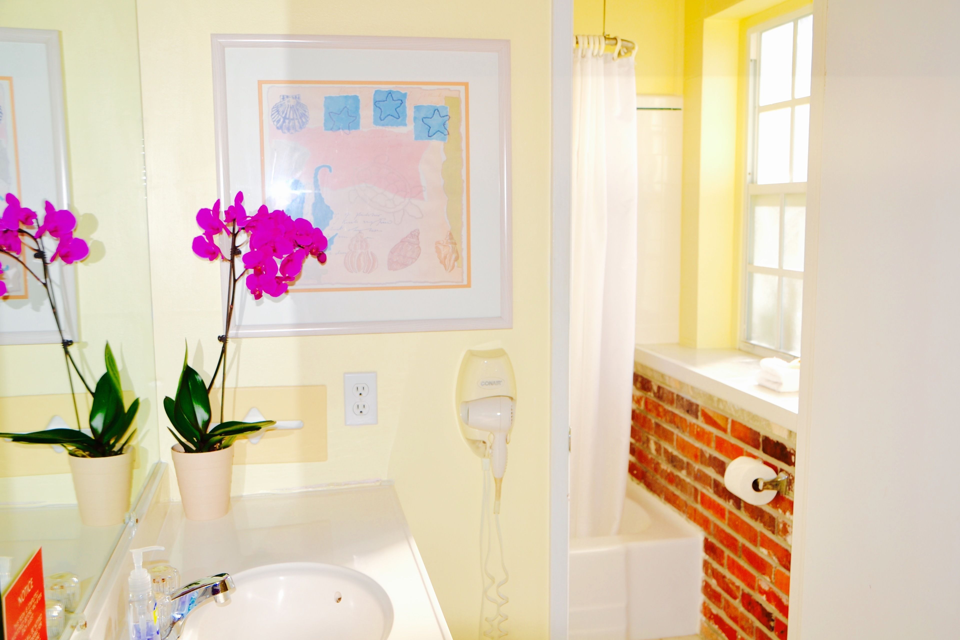 Foto - Sea Turtle Inn