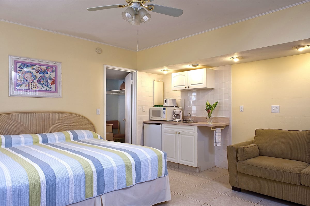 A compact room with a bed, a sofa, a kitchenette, and a ceiling fan.