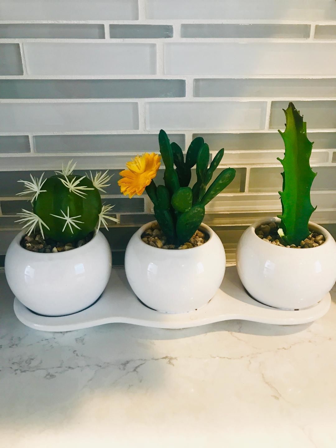 Foto - Sea Turtle Inn