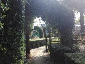 Property grounds - Mr Jan Guest House (Pai)
