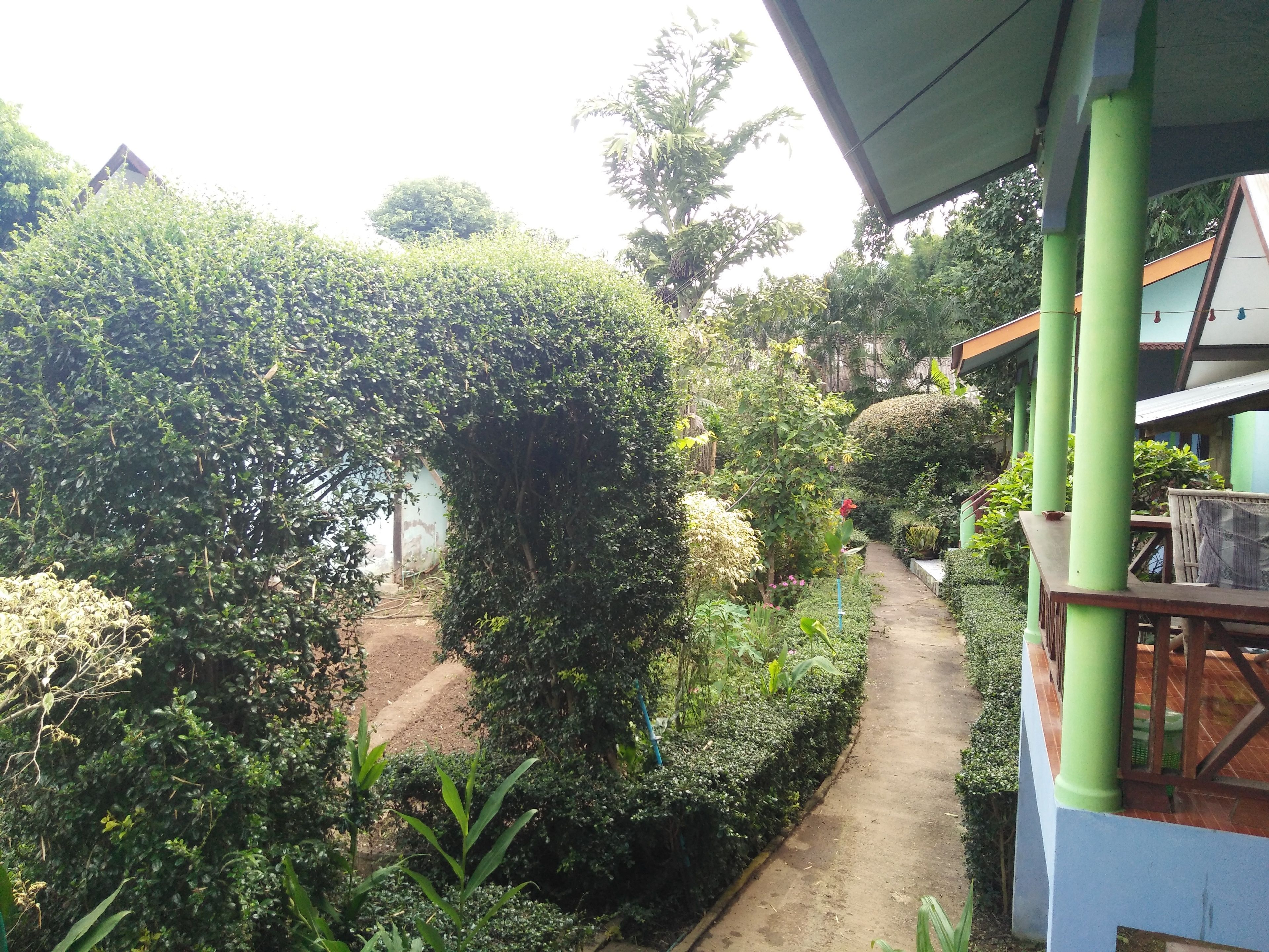 Un jardín con un sendero de tierra, follaje verde y un edificio con techo y columnas verdes.