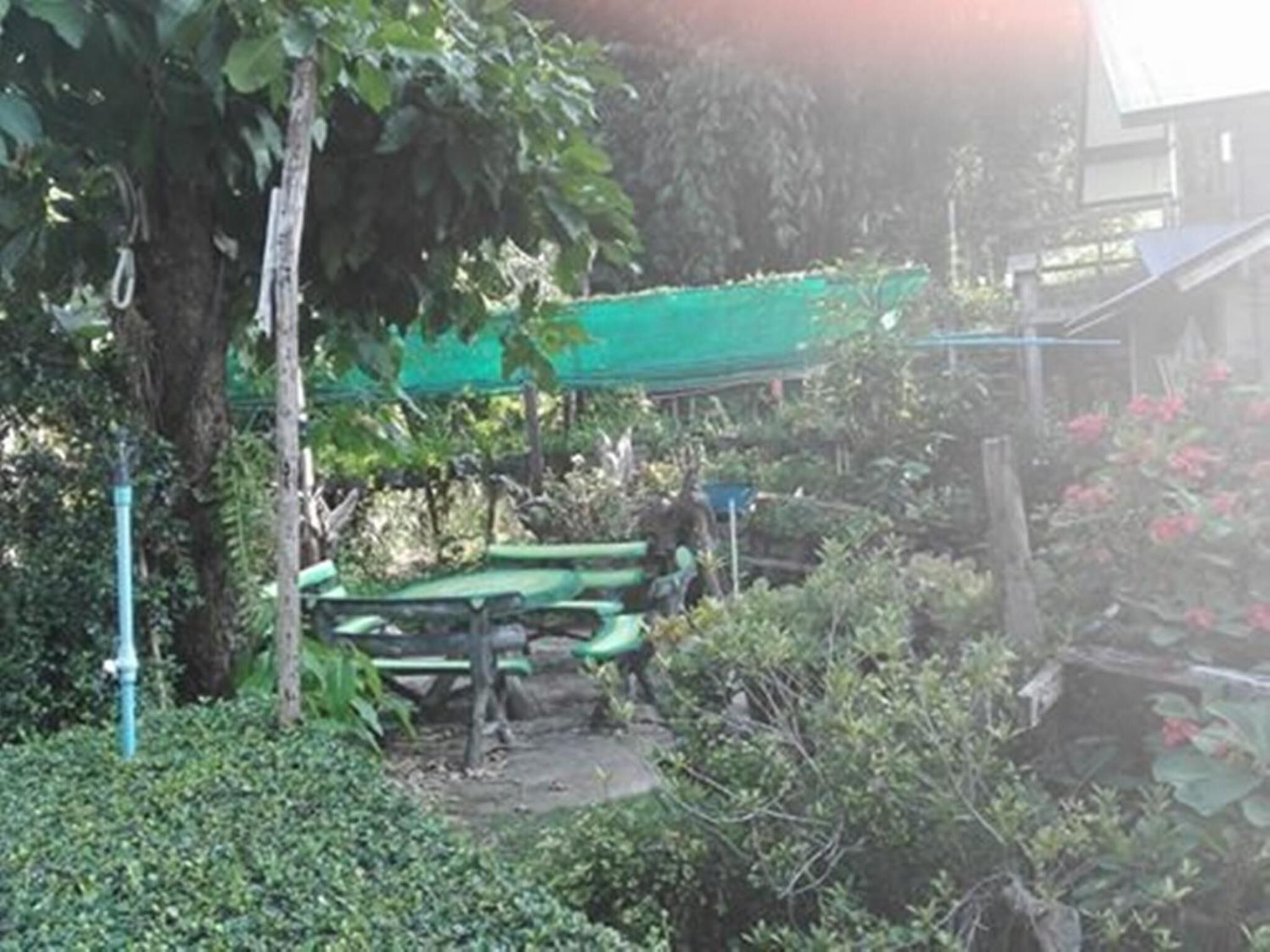 Un espacio ajardinado con un toldo verde, un árbol y algunas plantas.