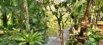 The Nine Thipthara Klongson Resort