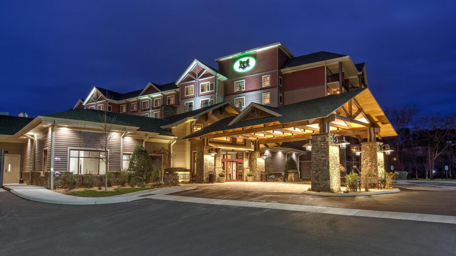 Black Fox Lodge Pigeon Forge, Tapestry Collection by Hilton