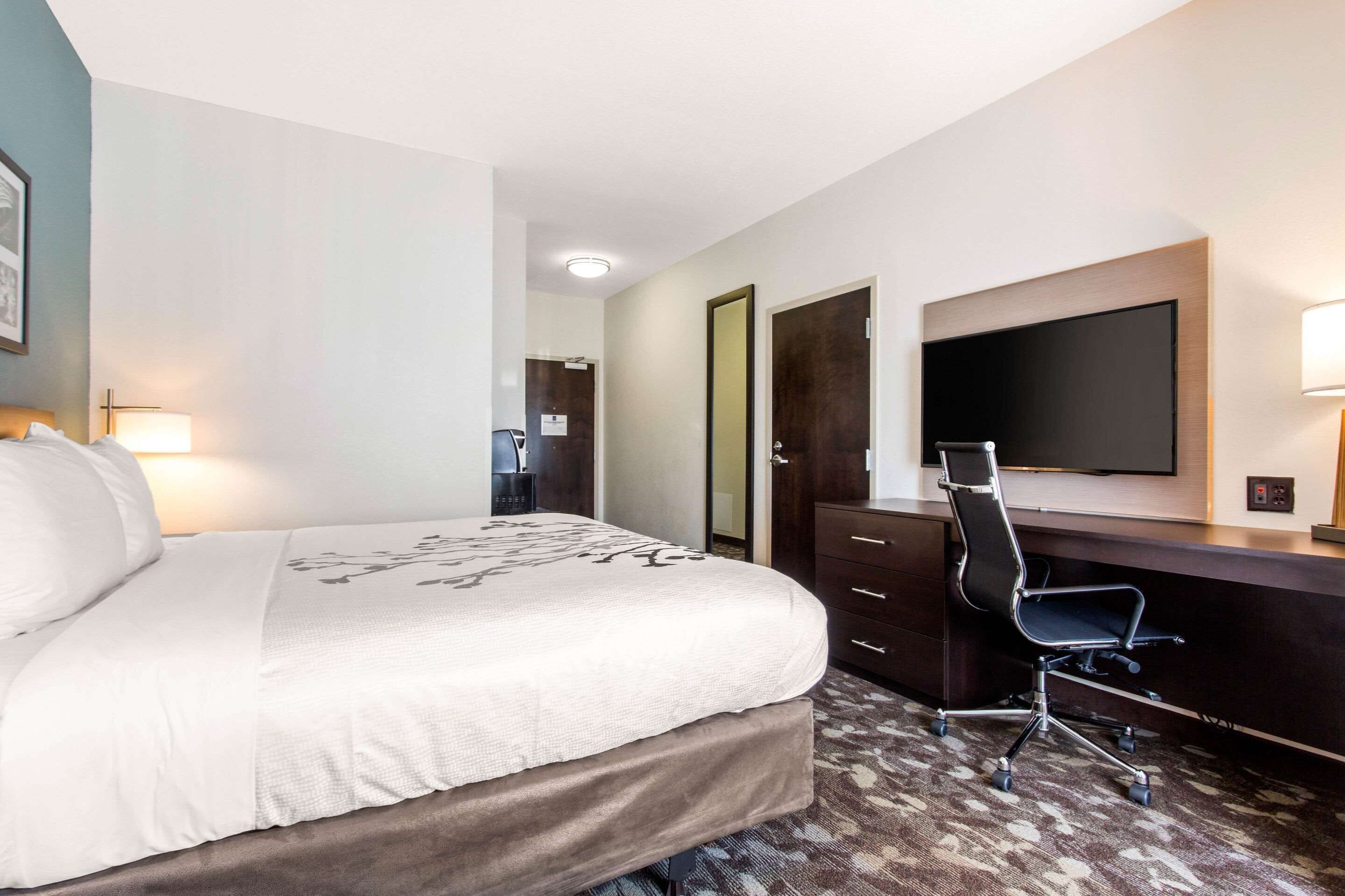 room, 1 king bed, accessible, non smoking | premium bedding, desk, soundproofing, iron/ironing board