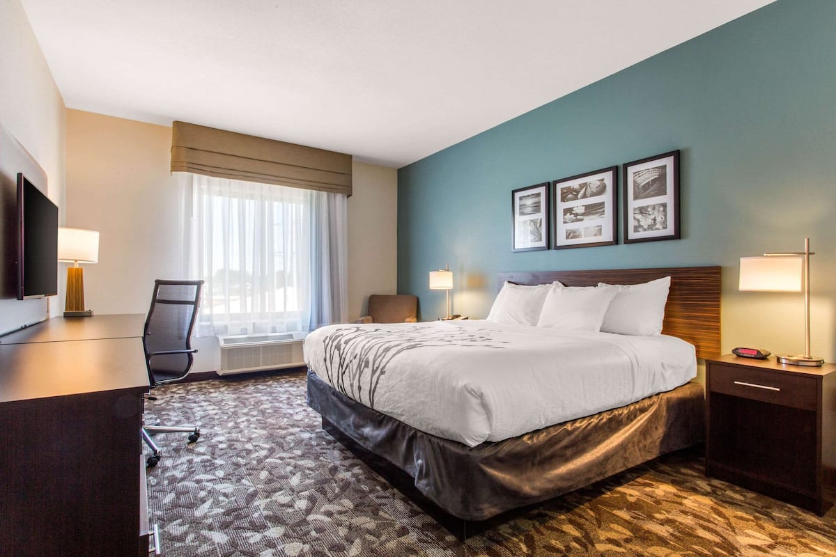 Habitación estándar, 1 cama de matrimonio grande, no fumadores | Ropa de cama de alta calidad, escritorio, sistema de insonorización