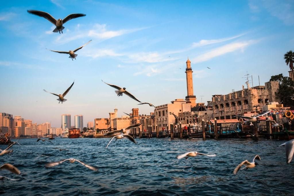 Photo - Rove Bur Dubai Healthcare City