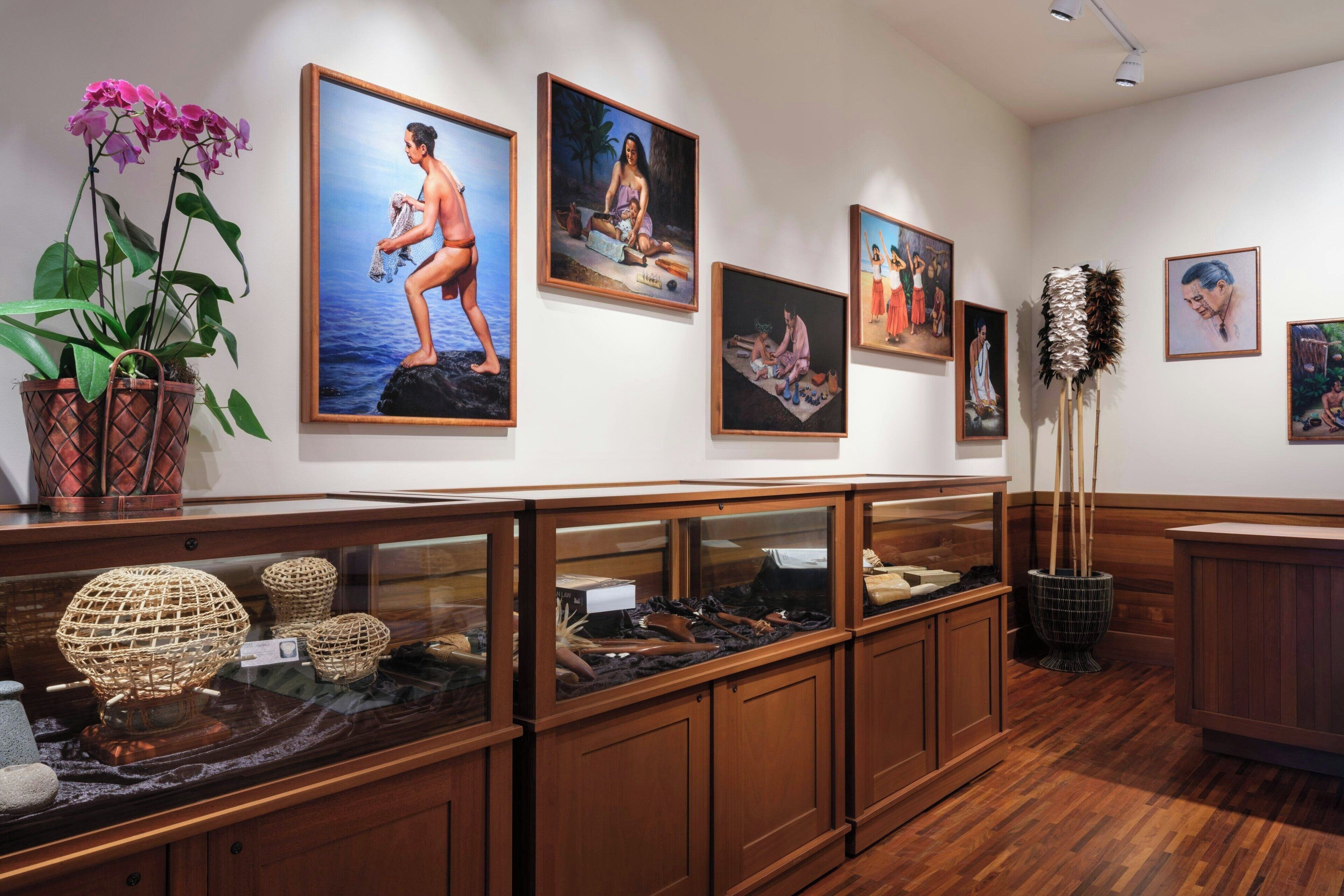 Una galleria con opere d'arte incorniciate a parete, vetrine in legno con manufatti e una pianta in vaso.