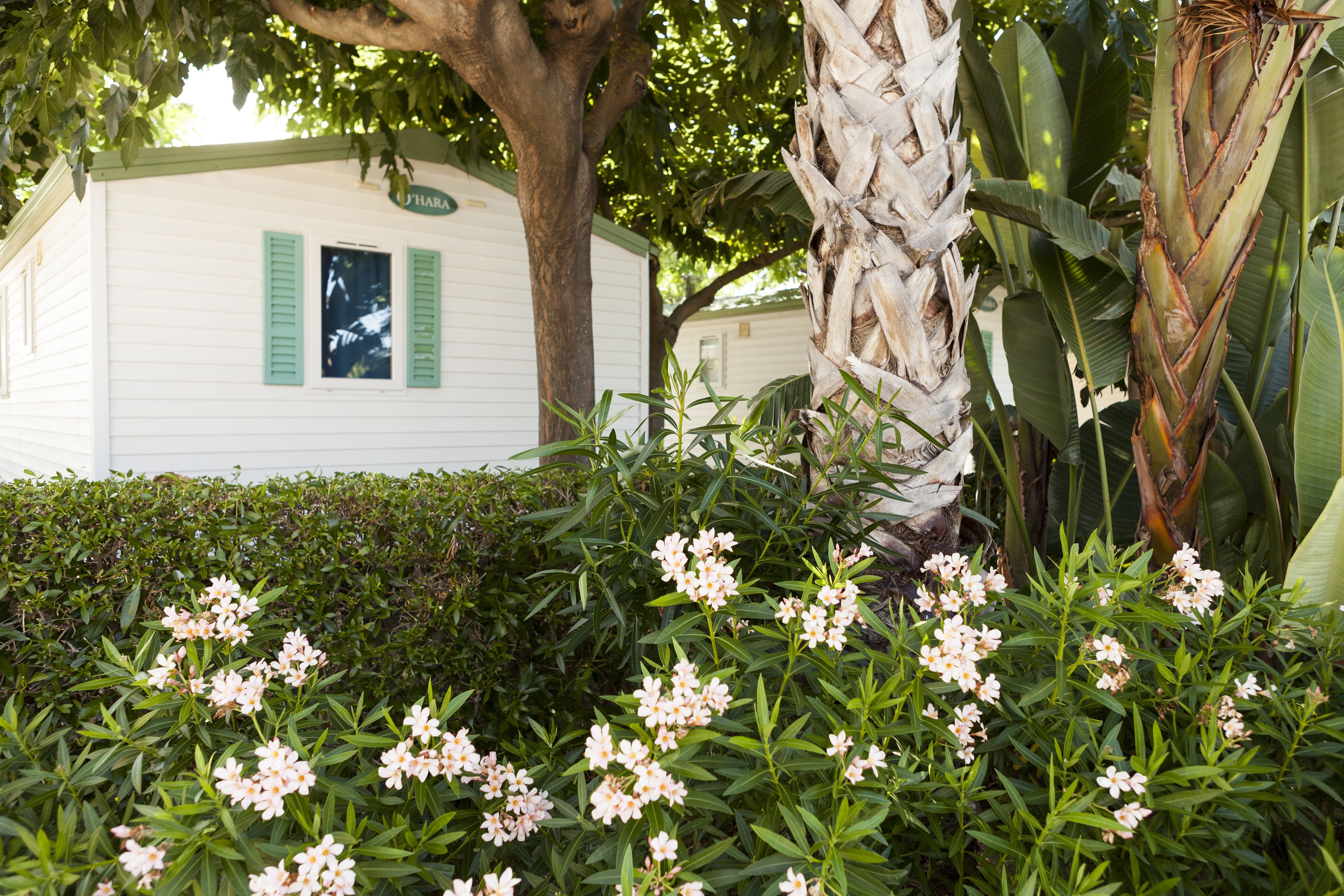 المنطقة المحيطة بالمنشأة