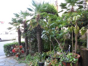 숙박 시설 구내