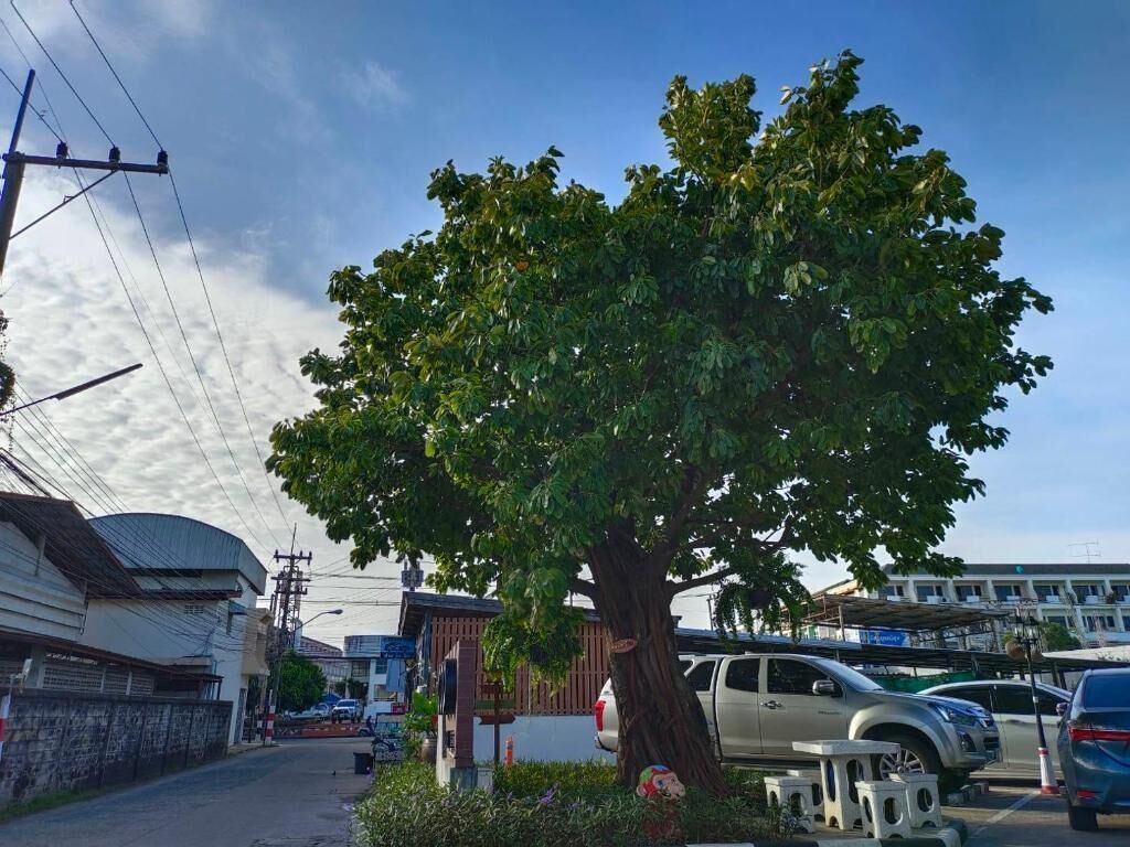 42-inch flat-screen tv with satellite channels, tv