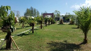 Un jardín con diversas plantas y una estructura al fondo.
