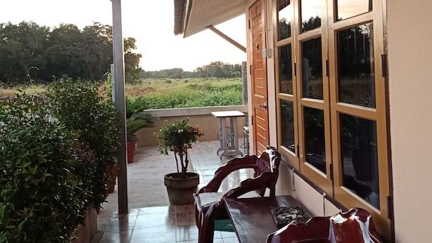 Une véranda abritée avec une table et des chaises en bois, une plante en pot et une vue sur un paysage verdoyant.