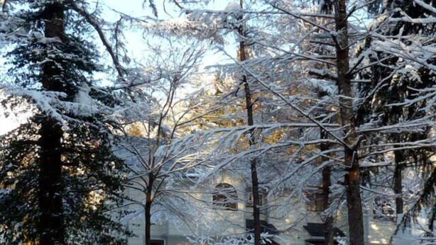 Un paysage enneigé avec une maison entourée d’arbres.
